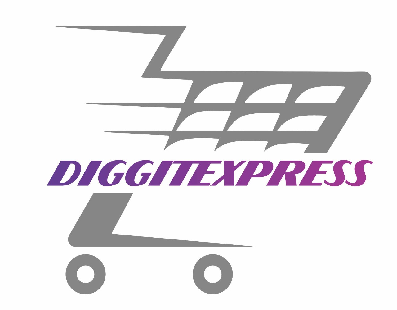 diggitexpress