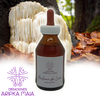 LIQUIDACIÓN!!! Melena de león -doble extracto- 100ml - comprar online