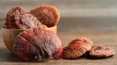Reishi - Cápsulas - comprar online