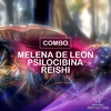 LIQUIDACIÓN!!! Combo Fungiterapia - Melena de León - Reishi