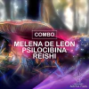 Combo Fungiterapia - Melena de León - Reishi