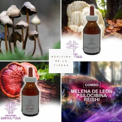 LIQUIDACIÓN!!! Combo Fungiterapia - Melena de León - Reishi - comprar online