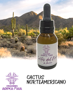 LIQUIDACIÓN!!! Micrododis de Cactus Norteamericano - comprar online