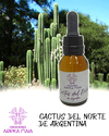 LIQUIDACIÓN!!! Microdosis de Cactus del norte de Argentina - comprar online