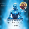 Almeda, la cueva de la creación e Ingeniería Avatárica Azul - MÓDULO 1 y MODULO 2