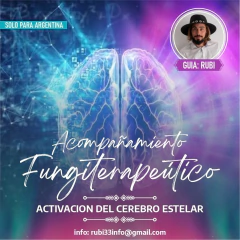 Curso Fungiterapia -Activación del Cerebro Estelar-