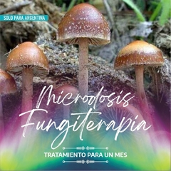 LIQUIDACIÓN!!! Microdosis Fungiterapia + curso gratis - comprar online