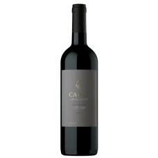 Cadus Apellation Tupungato Petit Verdot
