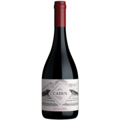 Cadus Apellation Criolla chica