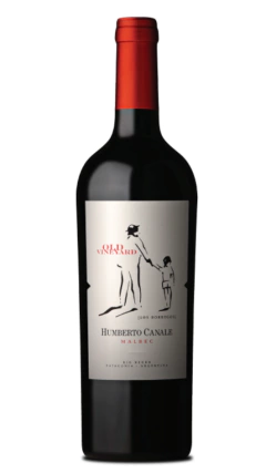 Humberto Canale old vineyard malbec