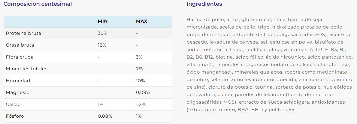 comida gato adulto