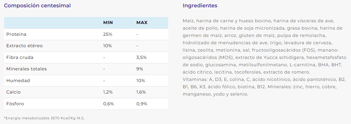 comida perros maipu