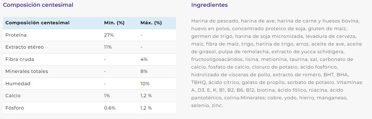 belcat-gato-adulto-comida-barata