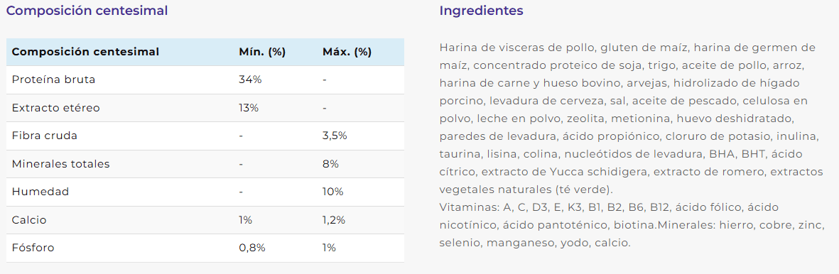 comida para gato bebé
