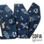 COFIA SPACE en internet