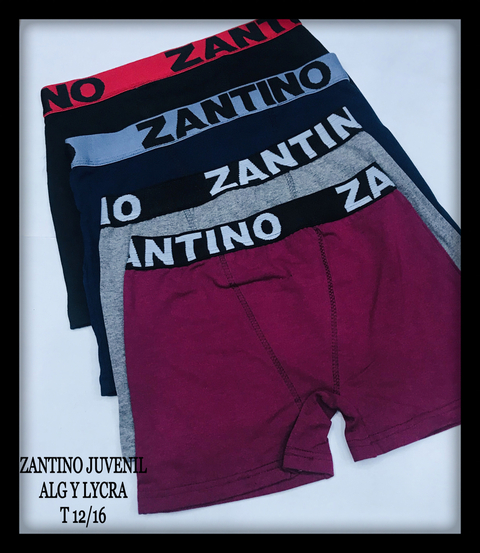 boxer hombre zantino