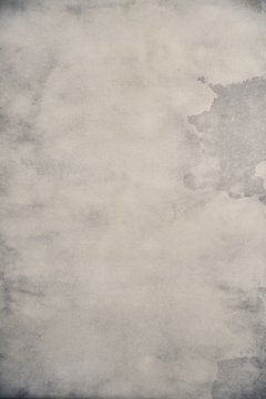 CANVAS 98x157cm