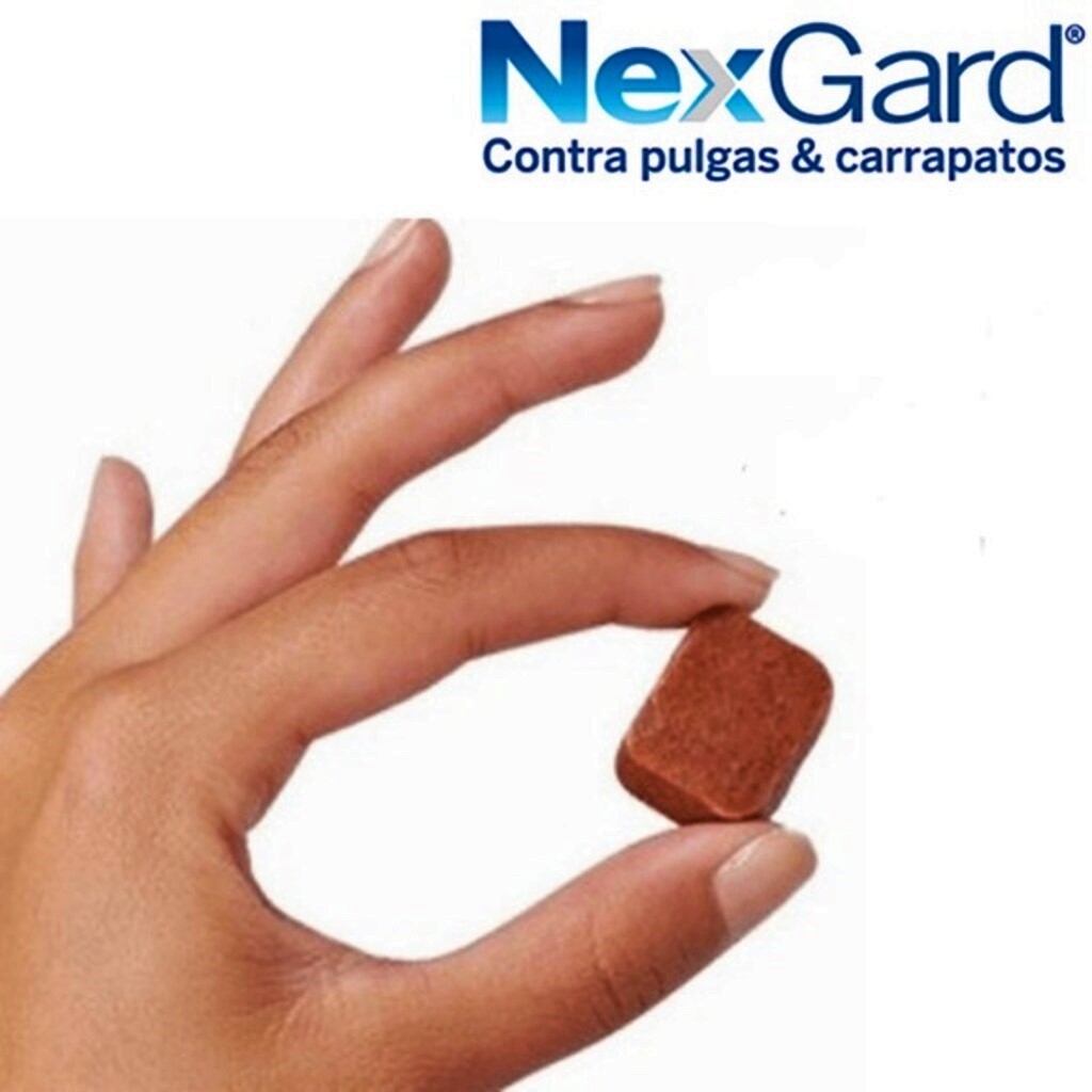 Nexgard Cães De 10,1 A 25kg 3 Tablet Antipulgas Carrapatos