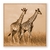 Imagem do Casal de girafa por Nilesh Rathod