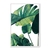 Folhas tropicais por Chansom Pantip - loja online