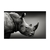 Rinoceronte, preto e branco por Etienne Outram - comprar online