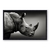 Rinoceronte, preto e branco por Etienne Outram