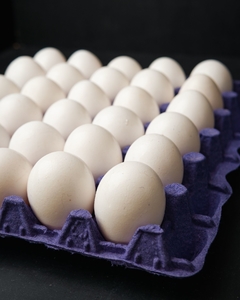 MAPLE HUEVOS - comprar online