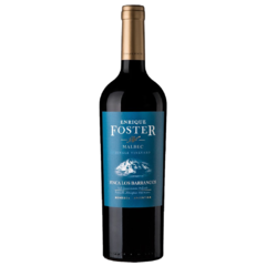 Single Vineyard Barrancos, Malbec