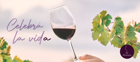 Carrusel 6Vinos