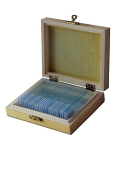 Kit de 25 Preparados para microscopios - comprar online