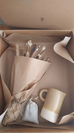 Caja Botanica
