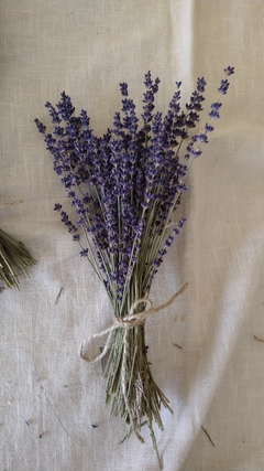 Ramo de lavanda azul - comprar online