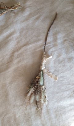 Escoba bruja