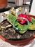 Pulsera Belleza y Protección - comprar online
