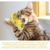 MOLINETE RASCADOR PARA GATOS - comprar online