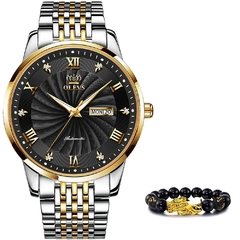 Relógio mecânico masculino OLEVS marca de luxo relógio automático esportivo de aço inoxidável à prova d'água masculino relogio masculino 6530