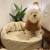 Cama LUA Talle S