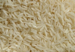 GOURMET JASMINE RICE KG