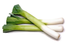 LEEK KG