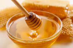 MIEL DE ABEJA ORGÁNICA EN FRASCO 500 ML - comprar en línea
