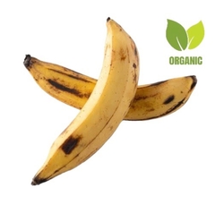 PLÁTANO MACHO ORGÁNICO
