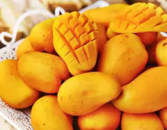 MANGO ATAULFO PZ