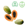 PAPAYA ORGÁNICA