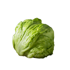 LECHUGA ROMANA PZ