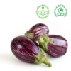 ORGANIC EGG PLANT PIECE