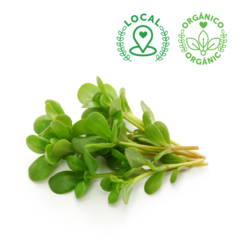 ORGANIC VERDOLAGA BUNCH