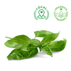 ALBAHACA LIMÓN ORGÁNICA MANOJO