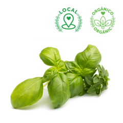 ALBAHACA ANIZADA ORGÁNICA MANOJO
