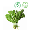 ORGANIC ROCKET ARUGULA BUNCH