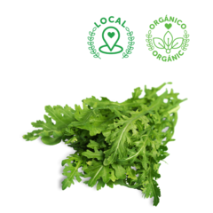 ORGANIC WILD ARUGULA BUNCH